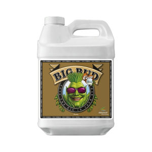 ADV BIG BUD COCO 250ML