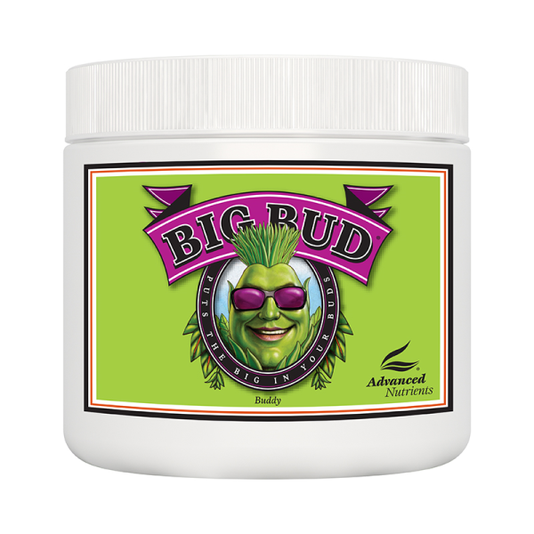 ADV BIG BUD POWDER 1KG